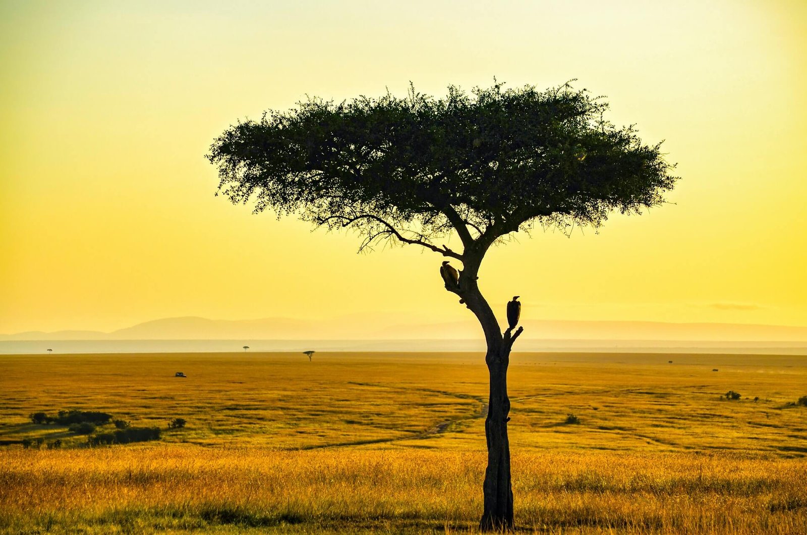 Africa4.jpg