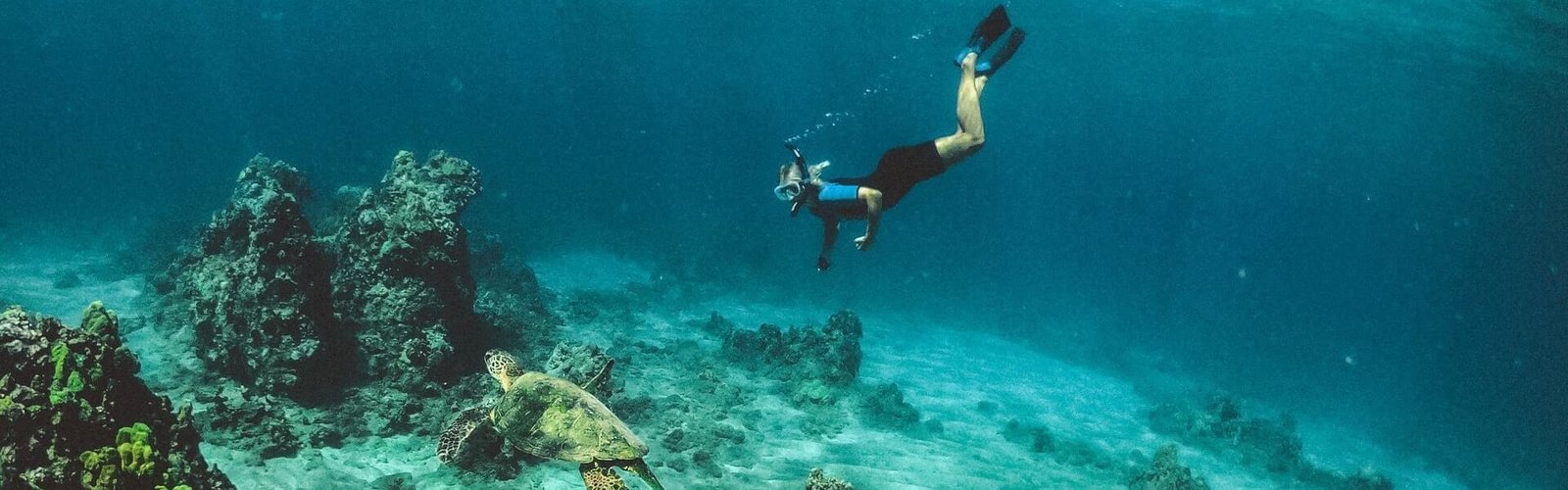 Scuba6.jpg