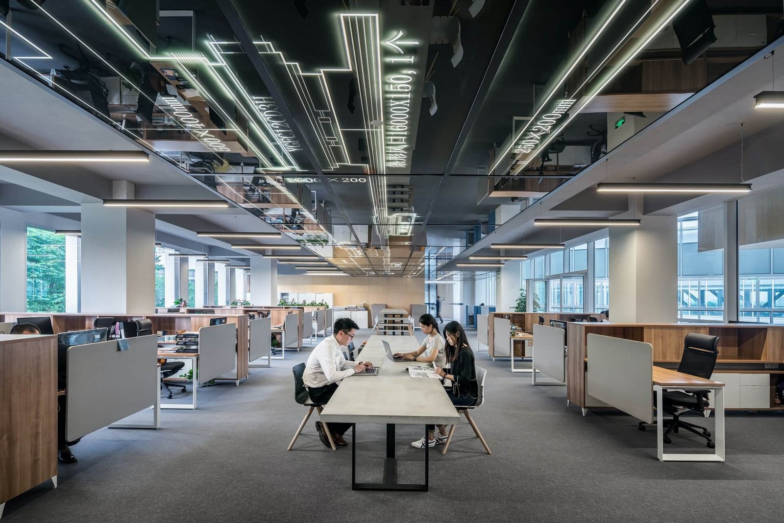 office6.jpg